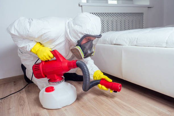 Best Rat Extermination Near Me  in Suquamish, WA