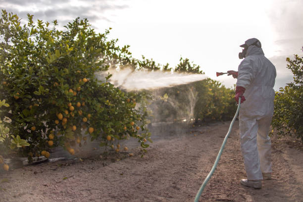 Suquamish, WA Pest Control Company
