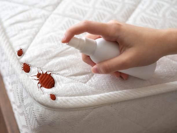 Best Exterminator Services  in Suquamish, WA