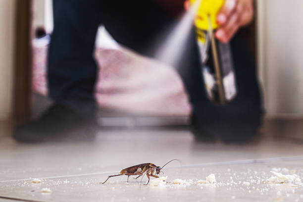 Best Best Pest Control Companies  in Suquamish, WA