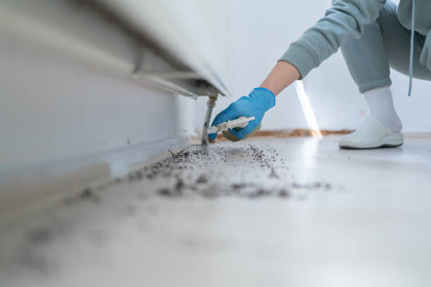 Best Termite Control Services  in Suquamish, WA