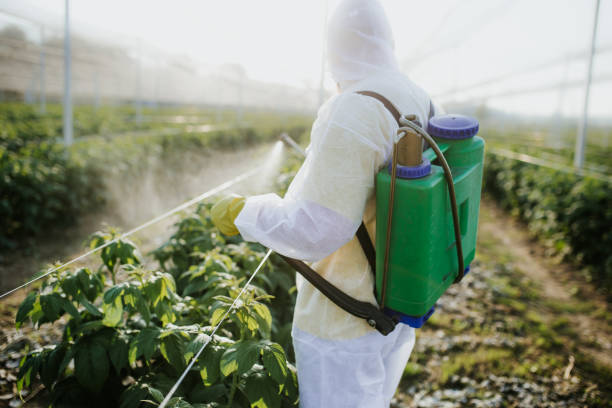 Best Pest Control Near Me  in Suquamish, WA
